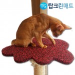 사막화 방지! 고양이 매트